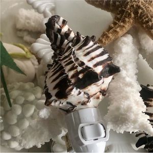 LADT ONE!  NEW! Natural Black & White Murex Seashell Night Light
